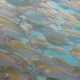 Big School of Mackerel Fish Underwater Bali - VideoHive Item for Sale