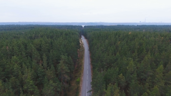 Endless Road in a Forest. Aerial Photography.