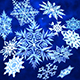 12 Pack of 3D Snowflakes - 3DOcean Item for Sale