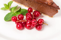 Chocolate cheesecake with hazelnuts. - PhotoDune Item for Sale