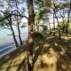 Birfhouse on the Tree in the Coastal Forest. Aerial, . - VideoHive Item for Sale