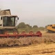 Wheat Harvesting on Field in Summer Season - VideoHive Item for Sale
