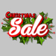 Christmas Sale Logo - VideoHive Item for Sale