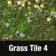 Grass Tile Texture 4 - 3DOcean Item for Sale