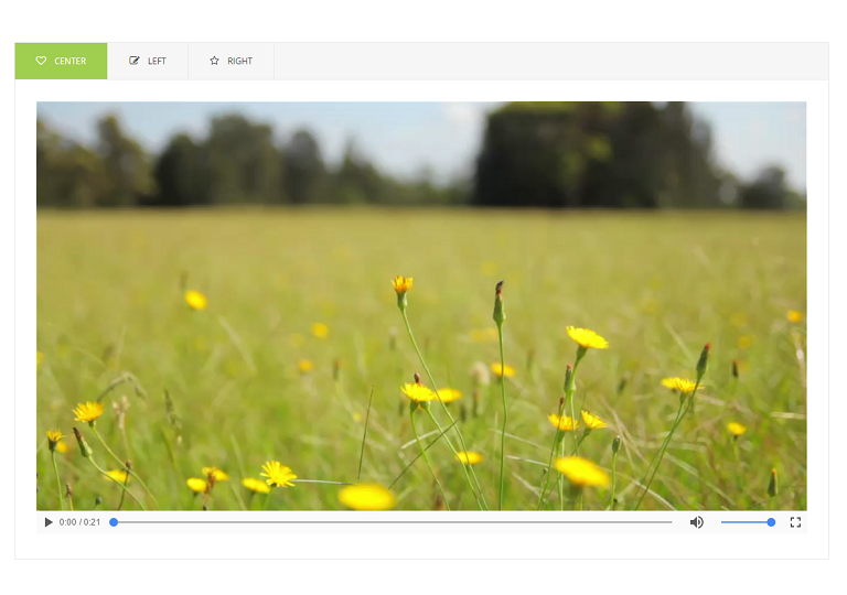 HTML5 self hosted videos