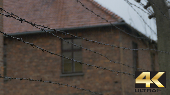 Barbed Wire on Electric Fence