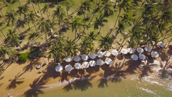 Flying Over Beach Umbrellas and Hammocks in Tropical Resort with Plam Trees.