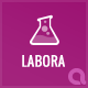Labora - Business, Laboratory & Pharmaceutical WordPress Theme - ThemeForest Item for Sale