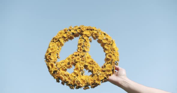 A Man Holds in Hand A Great Symbol of Peace Made of Yellow Flowers on Blue Sky