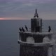 Great Cormorants On Lighthouse At Sunrise Behind Clouds - VideoHive Item for Sale