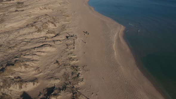 Video over beautiful wild beach with sand dunes and clear waters