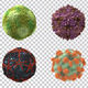 Viruses 360 - VideoHive Item for Sale