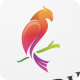 Birdie / Bird - Logo Template - GraphicRiver Item for Sale