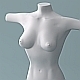 Female Torso - 3DOcean Item for Sale