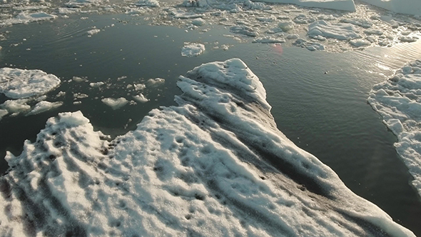 Seal Swimming in Jokulsarlon Ice Lagoon