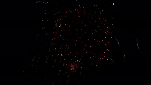 Many flashing colourful fireworks in event amazing with black background.