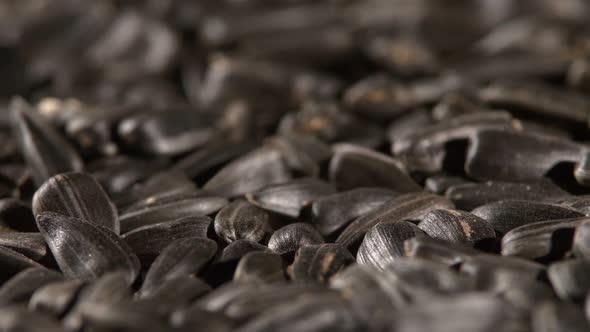 Sunflower Seeds, Rotation, Close Up, Background