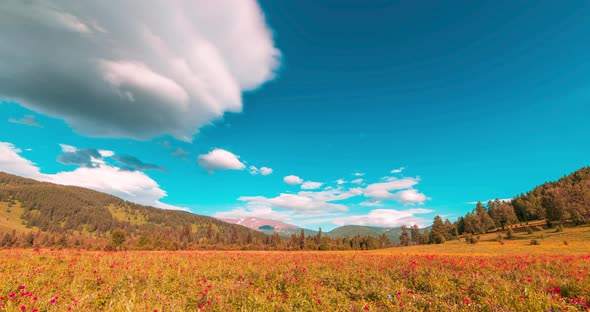 Mountain Meadow Timelapse at the Summer or Autumn Time