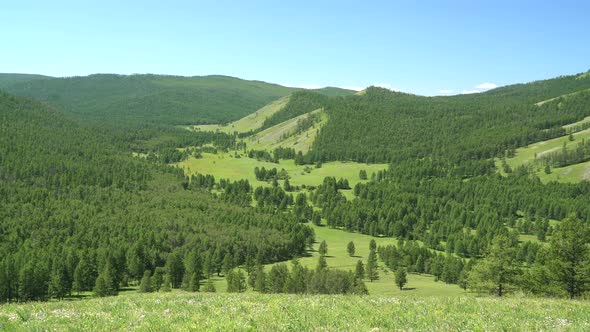 Green Meadows in The Sparsely Wooded Between Forest Covered Valley