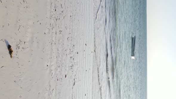 Vertical Video of the Ocean Near the Coast of Zanzibar Tanzania Aerial View