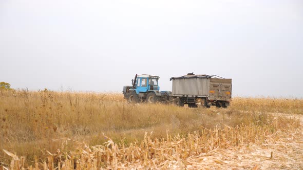 Big Cargo Tractor Transporting Gathered Crop at Field