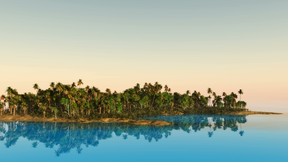 Tropical Island with Palms