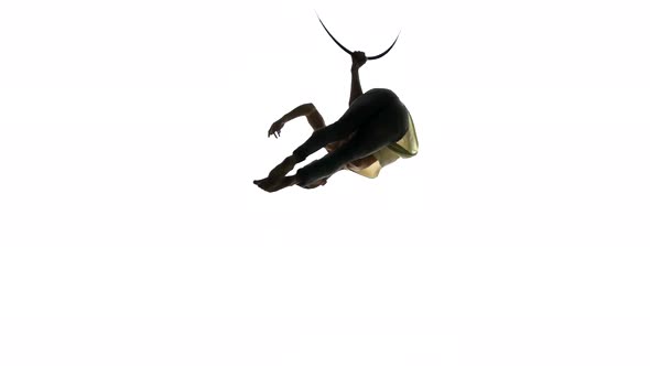 Aerial Acrobat Man on Circus Stage. Silhouette on a White Background.