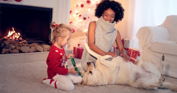 Mom and Daughter in Sweaters Play with Pet Dog