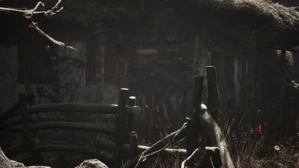 Old Retro Village in Pine Forest alt