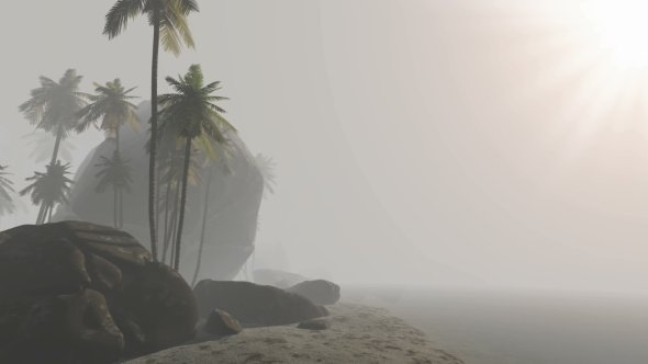 Morning Fog and Tropical Island with Palms