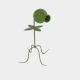 Plant Sprout Shooter - 3DOcean Item for Sale