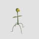 Beak Plant - 3DOcean Item for Sale