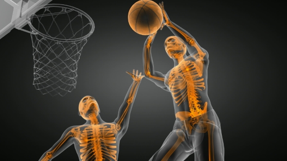 Basketball Game Player alt