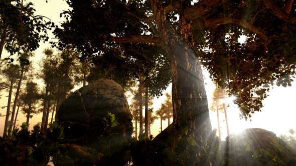 Sunrays Shining Through the Trees alt