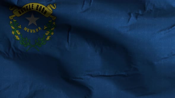 Nevada State Flag 4K