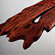 Live Edge - Wood Slab - 3DOcean Item for Sale