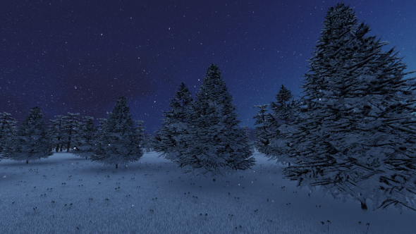 Christmas Snow Tree Background