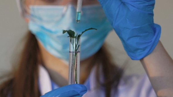 Female Scientist Analyzing Plant in Test Tube alt