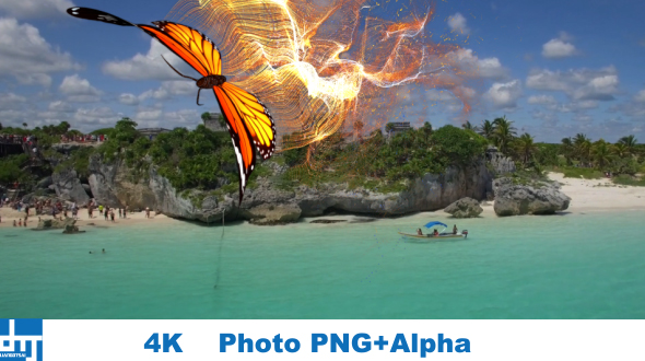 Yellow Butterfly  Particle Trailing Flying Transtion V2 alt