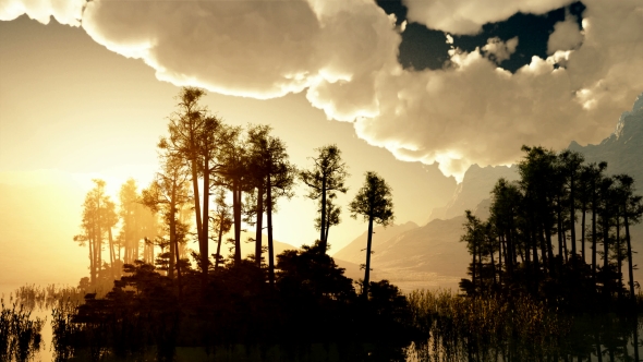 Sunrays Shining Through the Trees