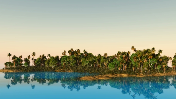 Tropical Island with Palms alt