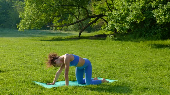 Young Beautiful Girl Doing Fitness Workout on the Grass in the Park