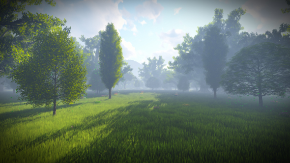 Matte Painting Forest alt