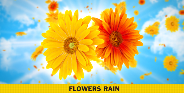 Flowers Rain