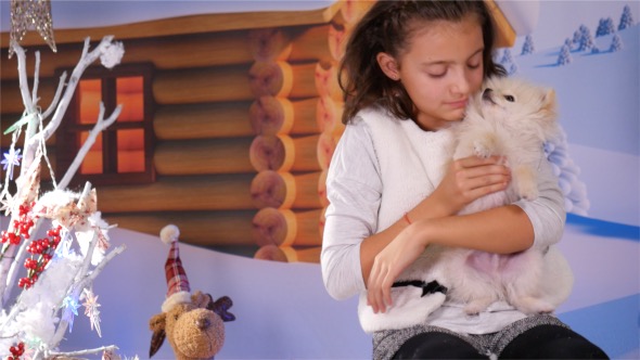 Little Girl With Puppy