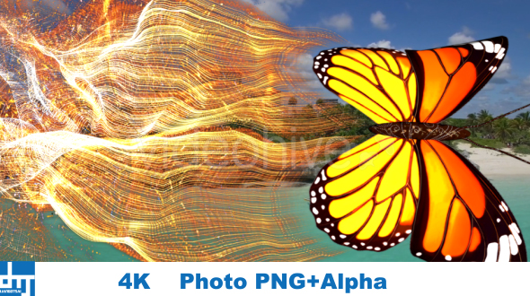 Yellow Butterfly  Particle Trailing Flying Transtion V1 alt
