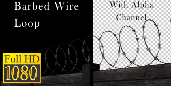 Barbed Wire Loop