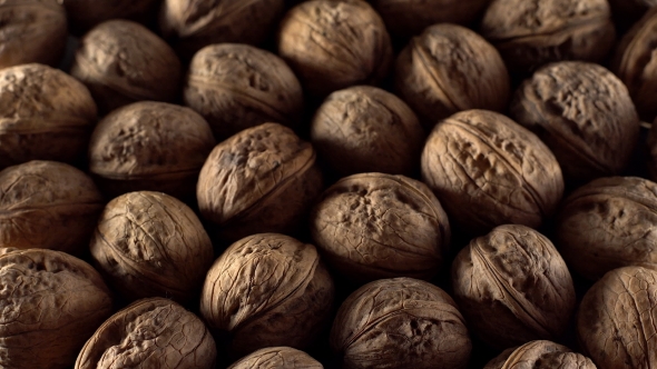 Walnuts in Rotation.