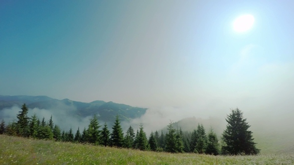 Morning Mist in Mountans.