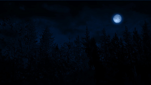 Flying Past Forest At Night With Moon